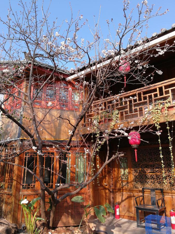 Runtong International Youth Hostel Lijiang  Esterno foto